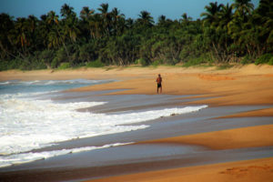 Perché una vacanza nello Sri Lanka