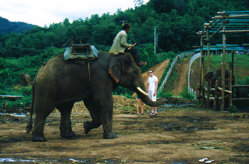 Trekking a dorso di elefante