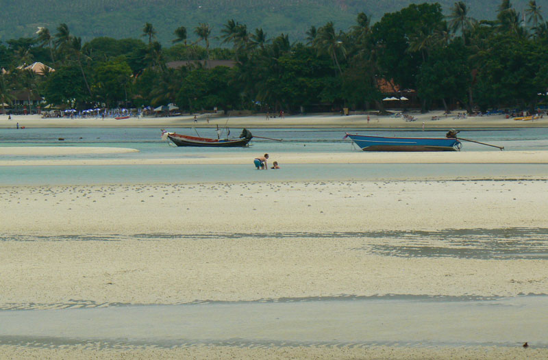 Bassa marea a Koh Samui