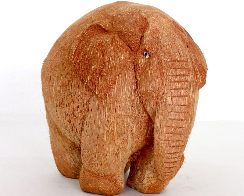 Un elefantino realizzato con una noce di cocco intera