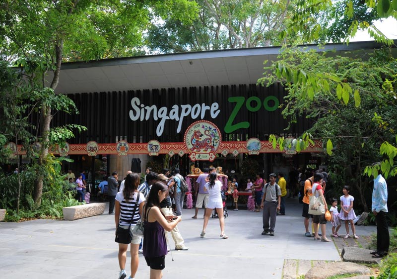 zoo di Singapore